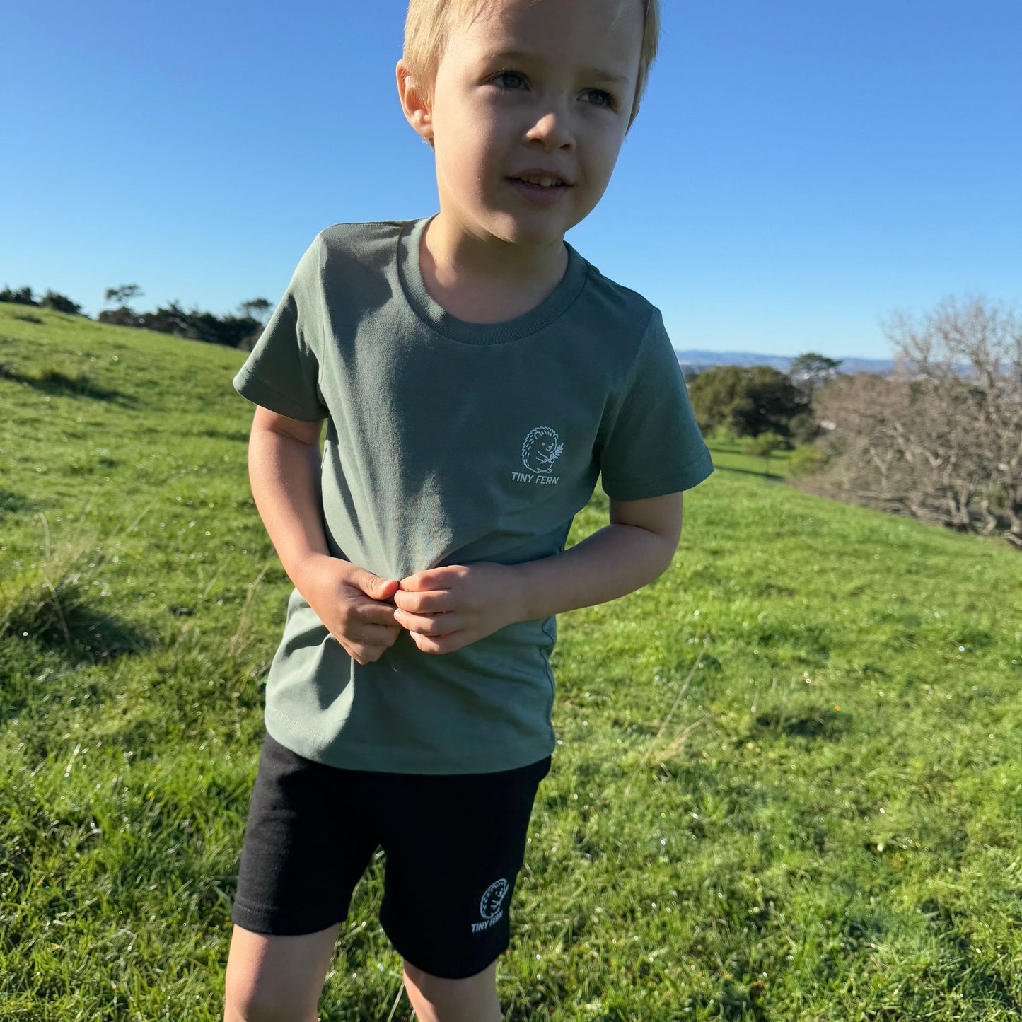 Black Hedgehog Shorts